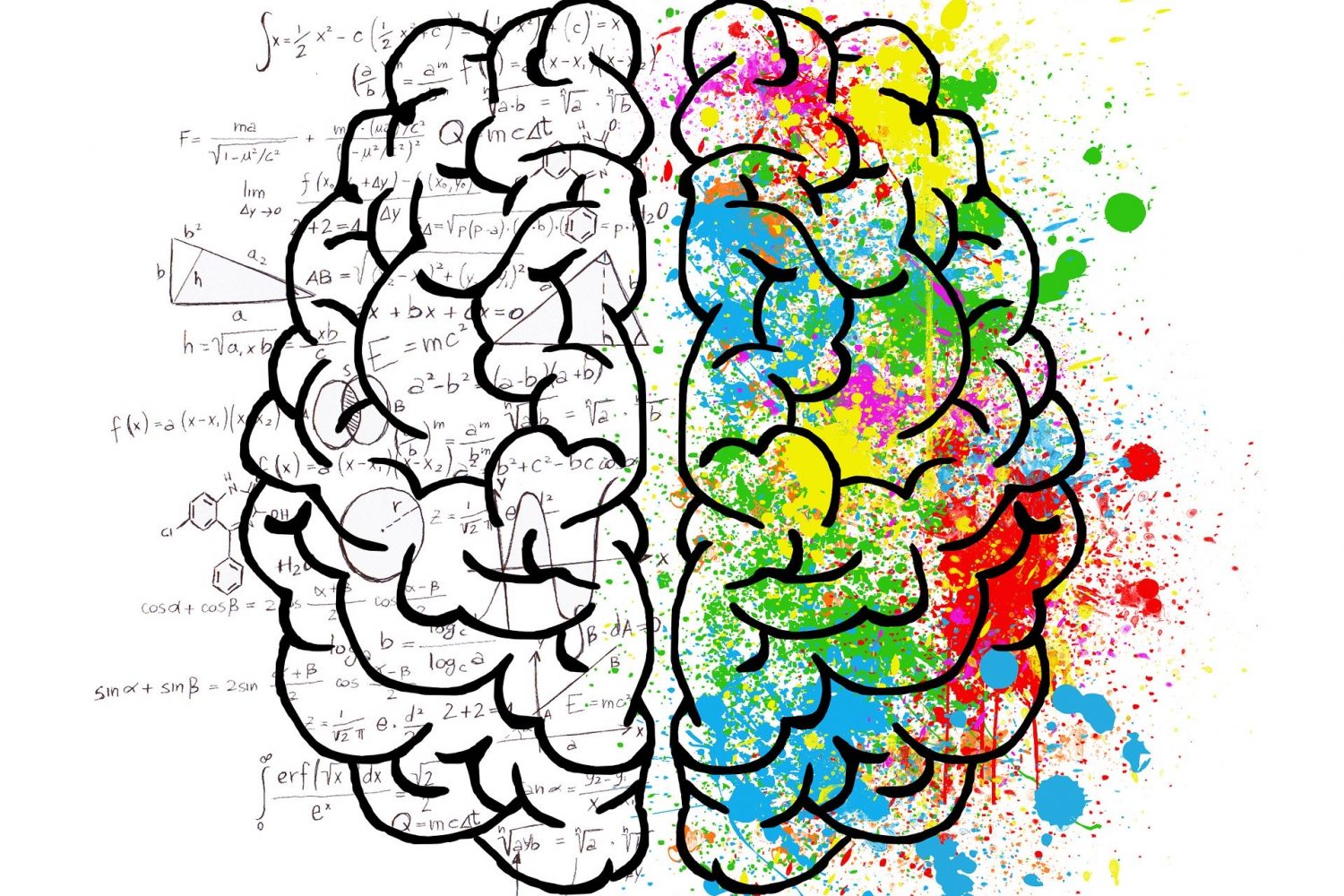 neuroscience